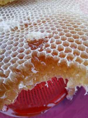  蜂巢怎么挤出蜂蜜「蜂巢怎么挤出蜂蜜视频」