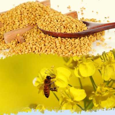 蜂蜜花粉吃了有什么作用-喝花粉蜜油什么副作用
