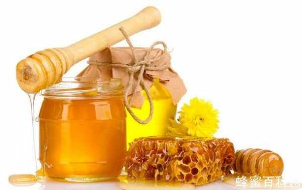  蜂蜜怎么吃对身体好「蜂蜜怎样吃既健康又营养呢」