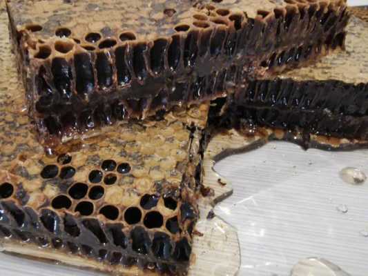 蜜巢是蜜蜂什么东西_蜜蜂巢的作用与功效与作用