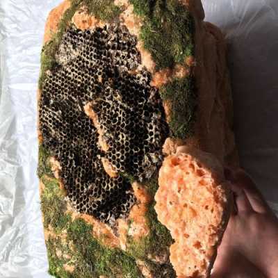 岩蜂蜜长什么样子图片（岩蜂蜜和普通蜂蜜的区别）