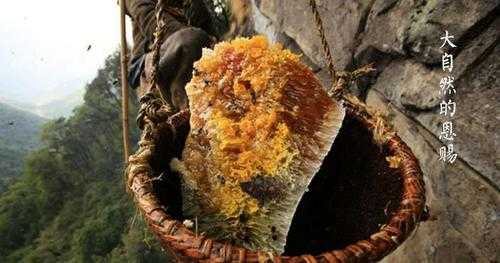 岩蜂蜜长什么样子图片（岩蜂蜜和普通蜂蜜的区别）