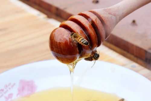 等蜂来怎么样 等蜂来蜂蜜怎么吃