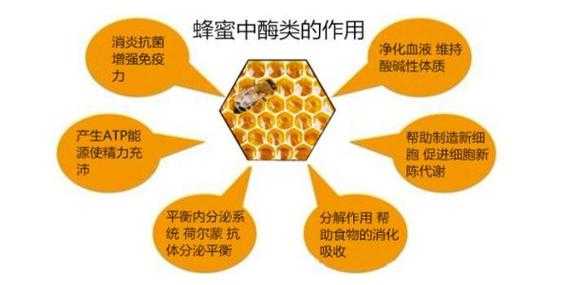  蜂蜜酶是什么「蜂蜜酶是什么成分」