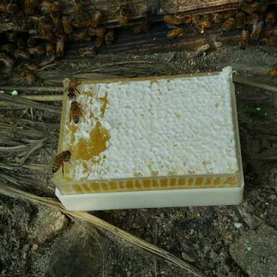  蜂箱直接出来的蜂蜜怎么处理「蜂箱直接出来的蜂蜜怎么处理掉」