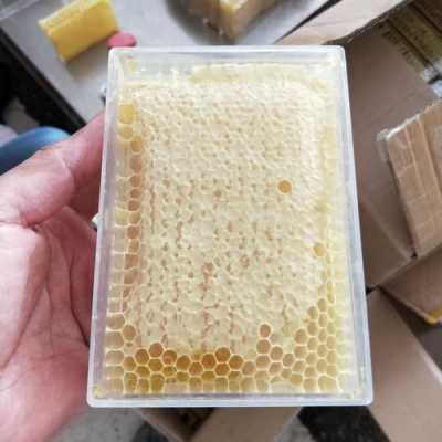 蜂巢的蜜如何提取 新鲜蜂巢蜂蜜怎么提取