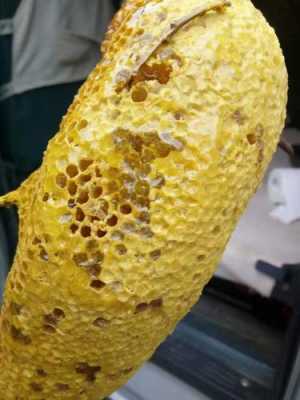 蜂窝的蜜怎么弄出来 蜂窝的蜂蜜是什么样的