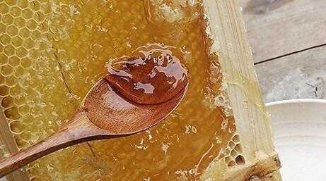 熟蜂蜜是什么蜂蜜