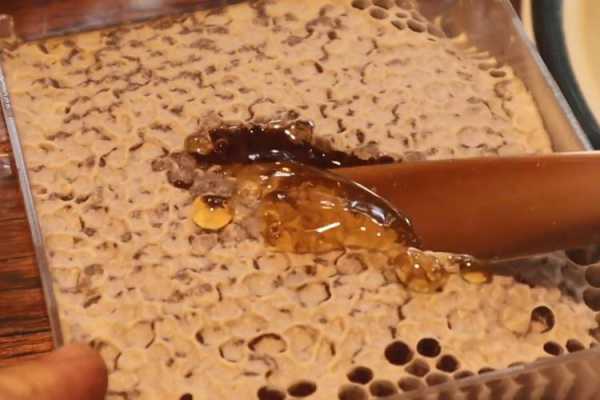野蜂蜜很多蜡怎么食用 野生蜂蜜中的蜡是怎么回事