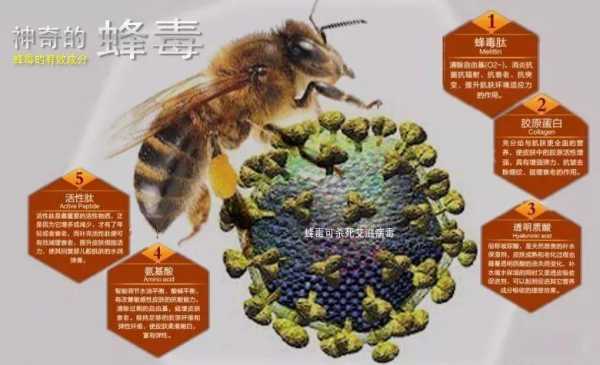  蜂毒作用什么「蜂毒对人体好处有什么功效」