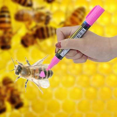  蜜蜂蜂王标号笔是怎么用的「蜂王标记专用笔」