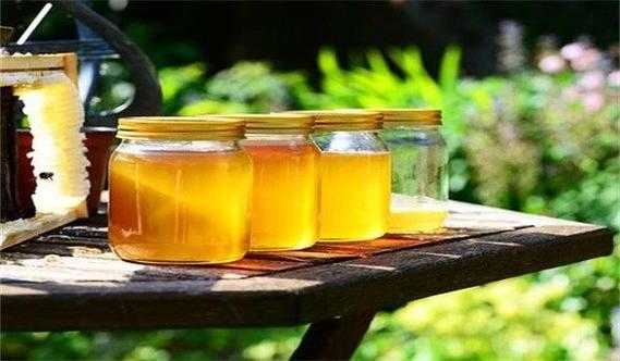 不成熟蜂蜜的药效怎样 蜂蜜不成熟是什么意思