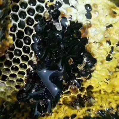 黑颜色的蜂蜜是什么蜜（黑颜色的蜂蜜是什么蜂蜜）