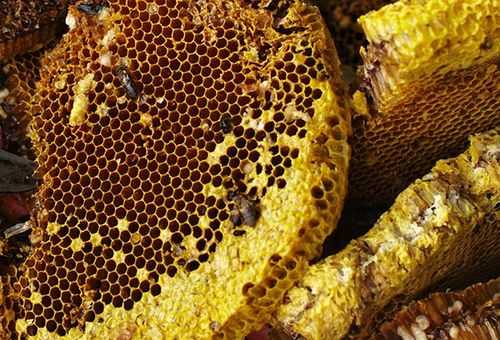 关于野生固体蜂蜜怎么吃的信息