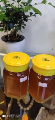 海南蜂蜜为什么那么贵 海南都有什么蜂蜜好