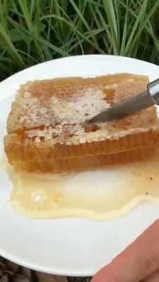 怎么处理蜂巢里的蜂蜜_如何处理蜂巢蜜
