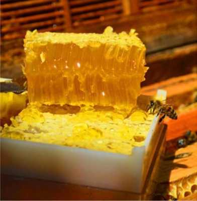 蜂巢蜜怎么选质量好的?