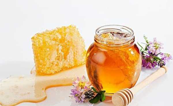 长期喝蜂蜜水有什么会胖吗「长期喝蜂蜜水有什么变化」