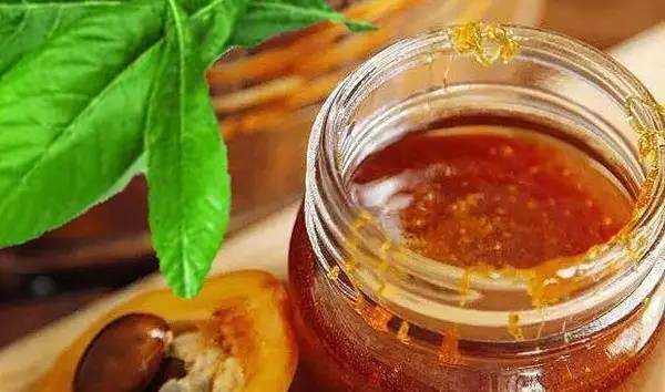 枇杷加蜂蜜怎么做好吃