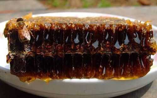 蜂巢素的口感-蜂巢素怎么吃