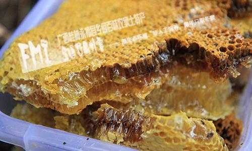 蜂巢怎么提蜂巢素,蜂巢素怎么制作 