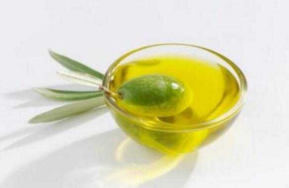 橄榄油什么病虫害不能用
