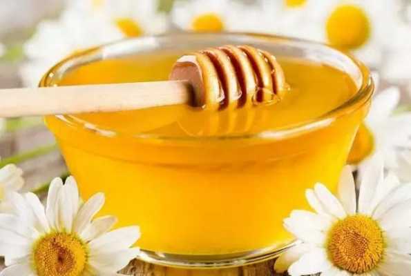 蜂蜜在夏天怎么吃好