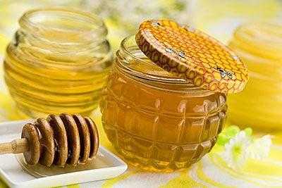蜂蜜最爱吃什么_蜂蜜爱吃什么东西
