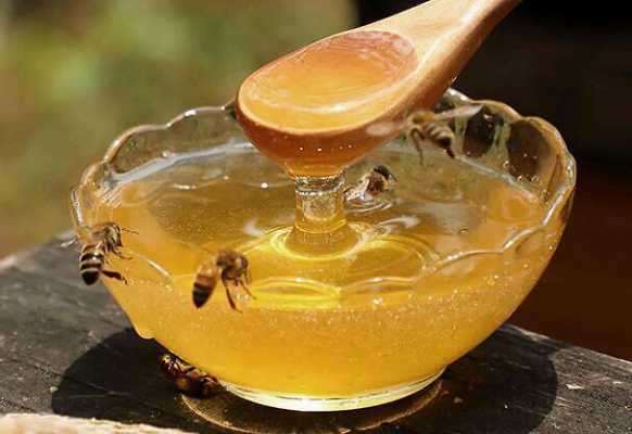  土蜂蜜怎么喝减肥「土蜂蜜减肥还是增肥」