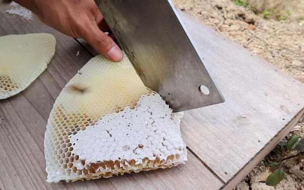 挤完蜜的蜂巢怎么办