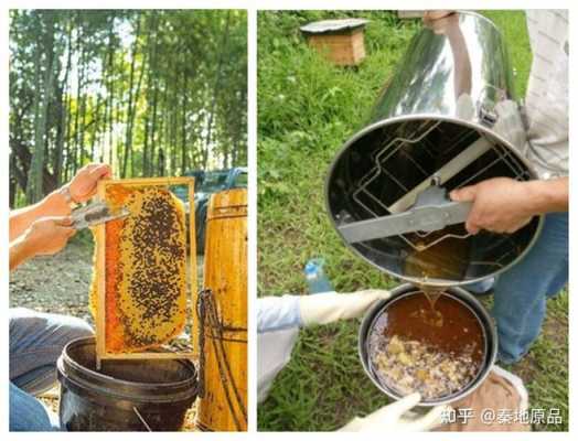 原生蜂蜜怎么加工 原始蜂蜜怎么提纯