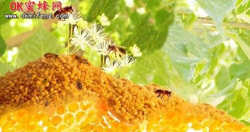  蜜花粉怎么形成的「蜂蜜花粉是怎样形成的」