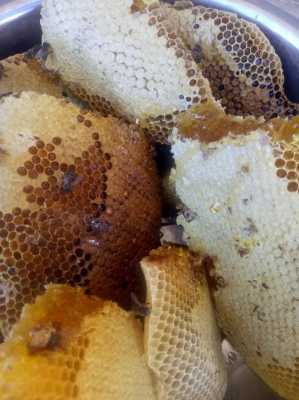 土蜂产的蜜是什么颜色的_土蜂蜜的色泽
