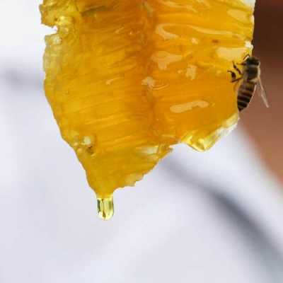 中华蜂蜂蜜和西蜂蜂蜜有什么区别,中华蜂蜜是土蜂蜜吗 