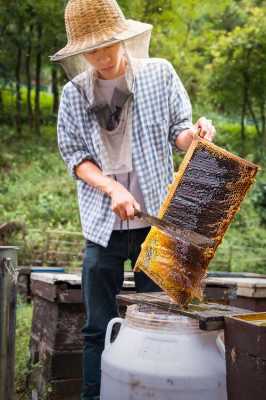 自制摇蜂蜜桶-蜂蜜手工摇的有什么优点