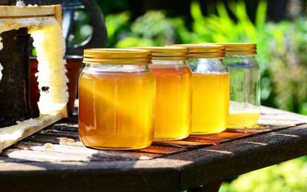 为什么土蜂蜜能减肥的原理-为什么土蜂蜜能减肥