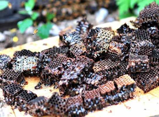 黑蜂蜂巢有什么作用与功效