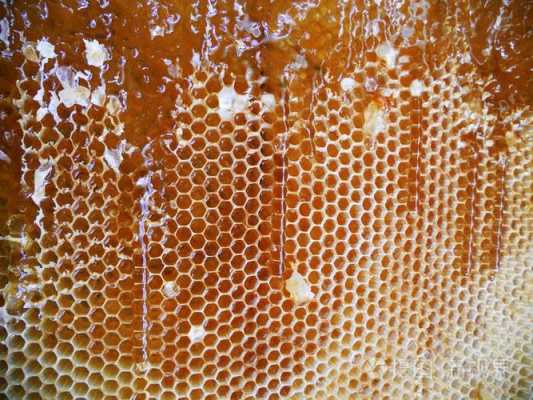 蜂蜜蜂巢怎么保存 蜜蜂蜂巢应该怎么放
