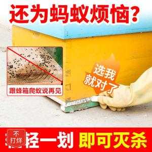 蜂箱中有蟑螂用什么药防止,蜜蜂箱里面有蟑螂要用什么药 