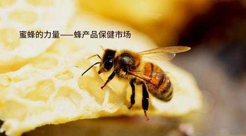 天然蜜蜂有什么好处,你知道的天然蜂产品有哪些 