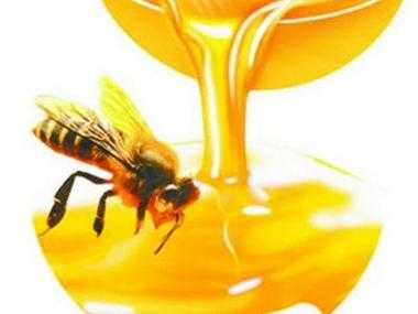 蜂胶和酒精混合能治皮肤病吗 蜂胶加酒精有什么作用吗