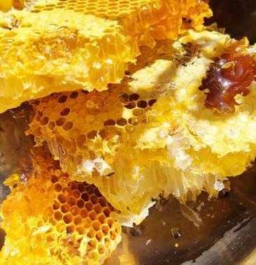 野蜂蜜的功能是什么原因,野蜂蜜能吃吗?对身体有什么好处吗? 