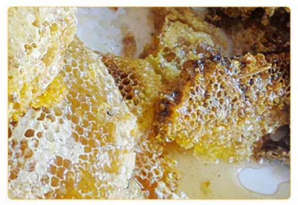 蜂蜜带蜂巢可以保存多久 买的蜂蜜带蜂巢怎么吃