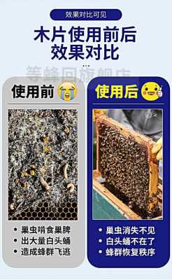 蜜蜂巢虫用什么方法杀死 蜜蜂巢虫用什么方法