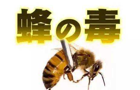 吃了蜂毒怎么解_蜂毒有解药吗