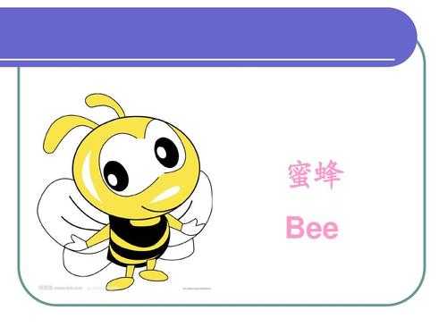蜜蜂王的英语怎么发音
