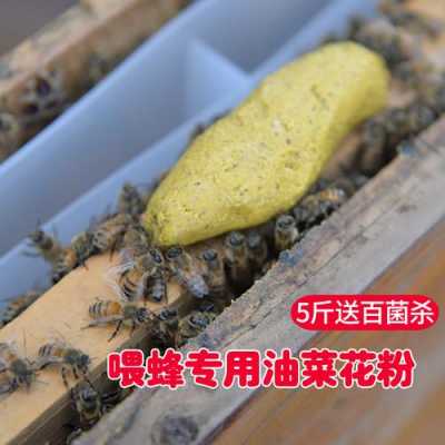 巢础里面花粉怎么取出来,蜜蜂巢里的花粉有什么用 