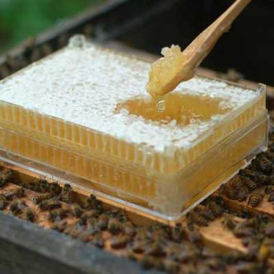 蜂蜜蜂巢能吃吗