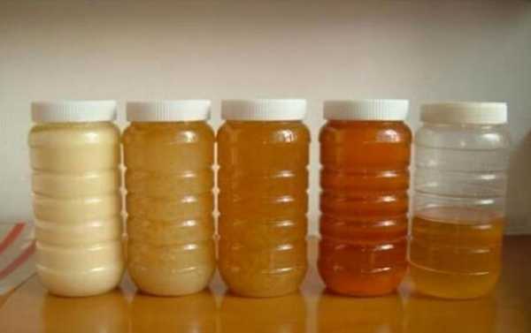 怎么鉴别喂糖的蜂蜜和真蜂蜜 蜂蜜怎么辨别是否喂糖