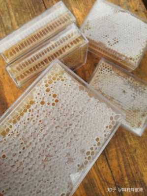 蜂巢蜜怎么保存可以冷冻吗